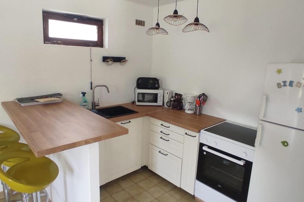 Appartement Au Fond Du Jardin Saint Jean du Pin Ngoại thất bức ảnh